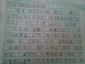 作文,初中,我向往,校園