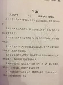 當校園歌手大賽的觀(guān)眾作文