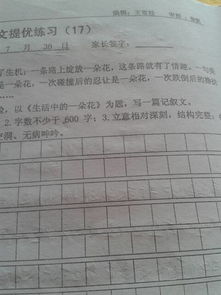 校園當中的一朵花作文二百字