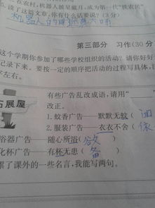 三級校園有趣活動(dòng)作文大全