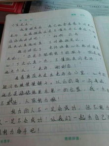 校園的樓梯給我們帶來(lái)的啟示作文