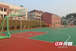 校園一景作文籃球場(chǎng)