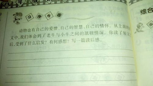 作文,發(fā)現(xiàn),校園