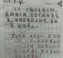孫孫悟空來(lái)到我們校園作文怎么寫(xiě)
