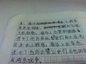 校園的果園作文