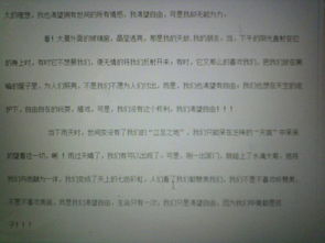 校園的一束陽(yáng)光作文
