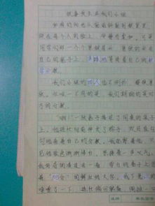 作文,多彩,校園