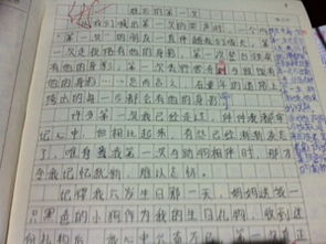 誠(chéng)信從這里起航作文,自信從這里起航作文,我們從這里起航作文600字
