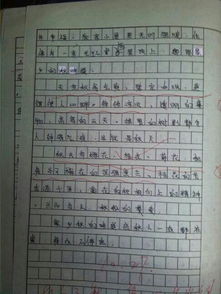 記事作文校園