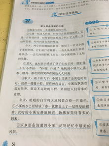 可愛(ài)的校園作文350字四級下冊
