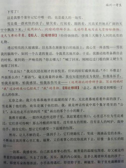 校園里,菊花,寫作文