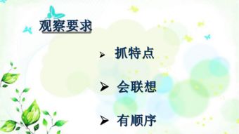 作文,四級,美麗,校園