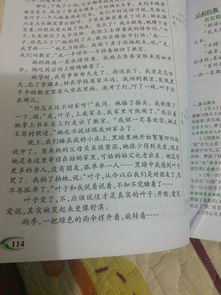 作文,印記,校園
