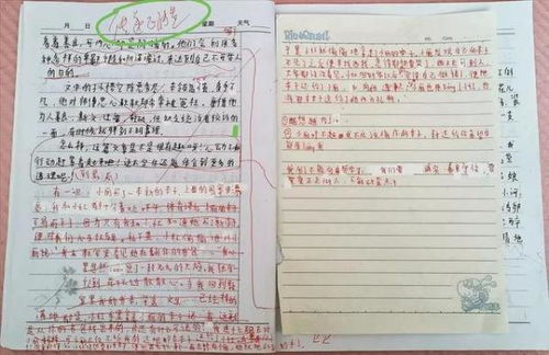放學(xué)后的校園動(dòng)靜結合300字作文
