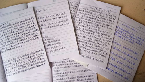 憲法進校園作文三百字