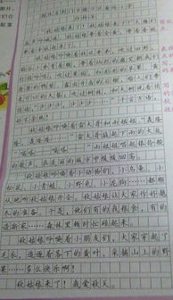 校園里面的秋天作文