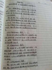 作文,校園,游戲