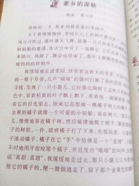 初中校園風(fēng)景線(xiàn)作文600字