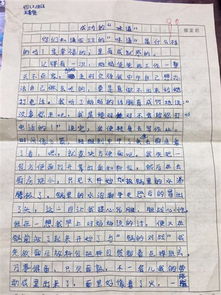 關(guān)于實(shí)驗(yàn)二小的美麗的校園的作文,美麗的校園300字,美麗的校園作文400字四年級(jí)