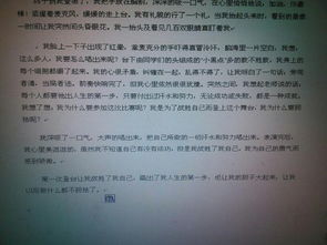 作文,校園暴力