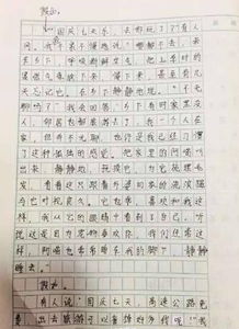 小學(xué)校園國慶節作文