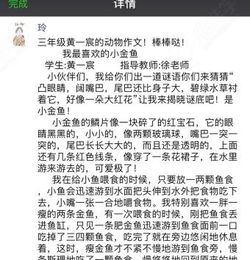 校園的人作文600字,我的校園作文600字,新的校園作文600字