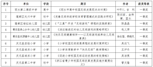 校園足球節的作文400字