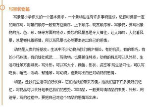 寫(xiě)一篇關(guān)于想象的校園作文