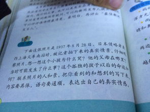 校園美食節(jié)作文400字左右,校園美食節(jié)作文300字,校園美食節(jié)作文500字獲獎