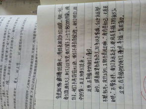 校園正能量的事作文600字