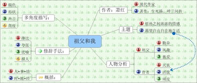 校園的樹(shù)思維導圖作文500字
