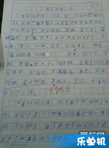 有關(guān)校園榮譽(yù)的作文