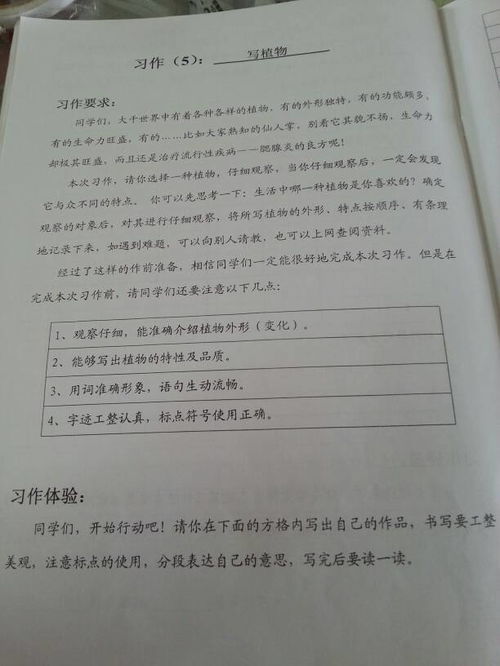我的植物朋友作文怎么寫(xiě),我的植物朋友作文怎么寫(xiě)?三年級,植物的朋友作文怎么寫(xiě)