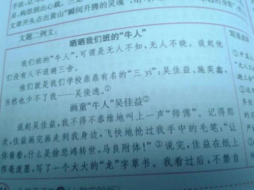 作文,校園