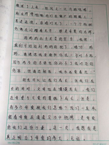 三年級(jí)寫我們的校園作文,仿寫我們的校園的作文,我們的校園作文400字