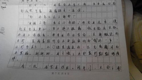校園里的記憶作文700字,校園里的記憶初三作文,校園里的那些記憶作文700字
