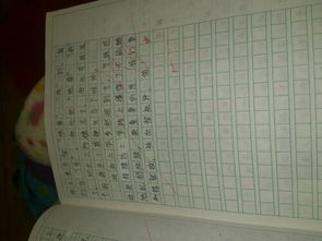 難忘的事在校園里作文六百字作文