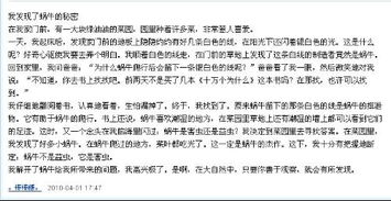 作文,四級,下冊,過(guò)渡