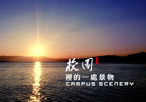 校園里景物的作文兩百字