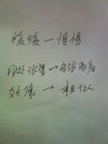 七上走出校園作文