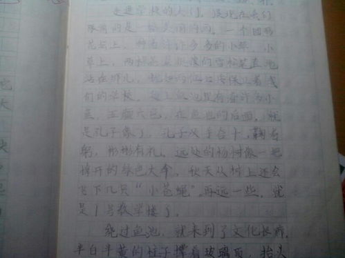移步,作文,校園