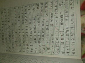 在校園中綻放400字作文600字作文