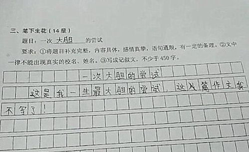 用動(dòng)靜鞋和來寫放學(xué)后的校園作文
