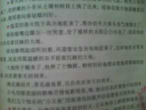 寫景,作文,春夏秋冬,字左右