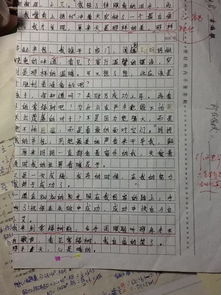 關(guān)于寫(xiě)冬天校園的作文