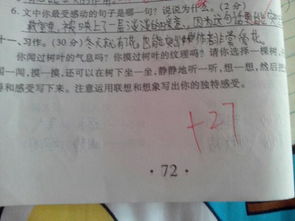 校園里的樹(shù)作文怎么寫(xiě)