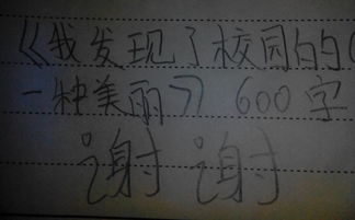 作文我發(fā)現了校園之美