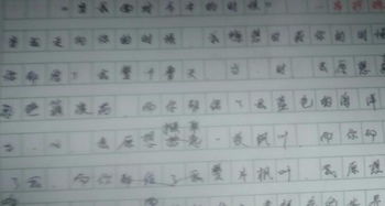 美麗的校園體會(huì)作文650字
