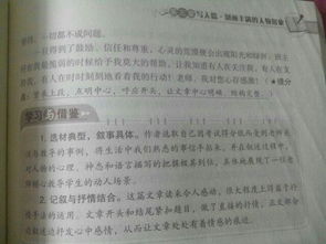 以我的校園故事為話題的作文,關于校園故事的作文,我的校園故事作文800字
