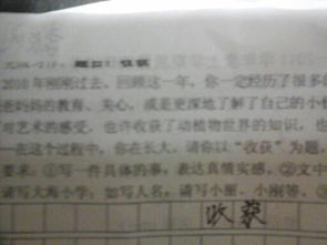 作文,校園